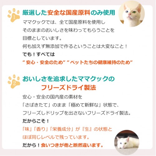 ママクック　フリーズドライの国産りんご